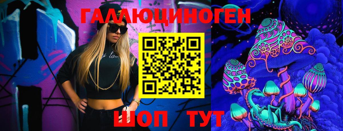 Псилоцибиновые грибы Psilocybe Сегежа